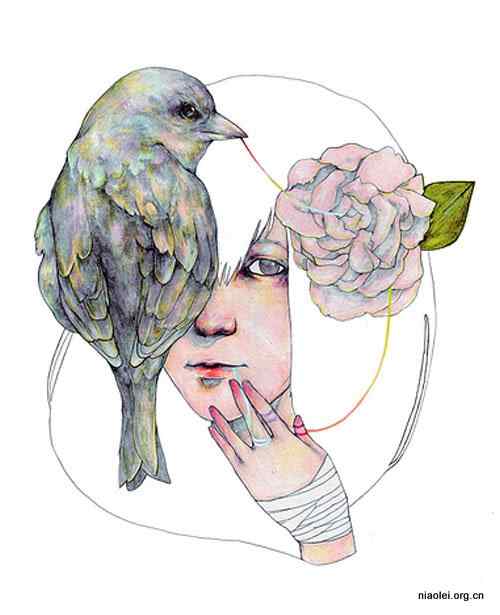 日本一画家的鸟类插画