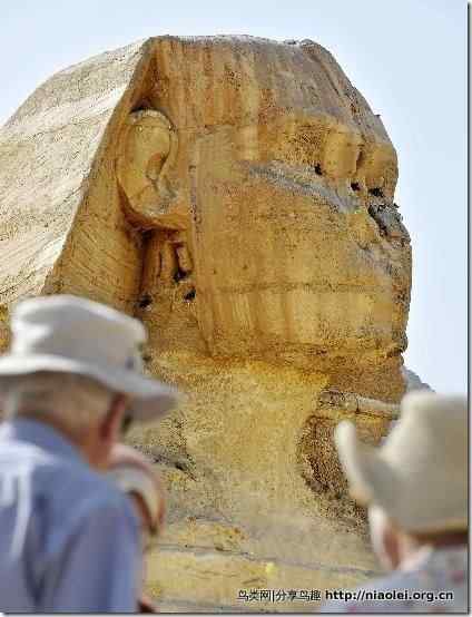 狮身人面像成鸟巢天堂