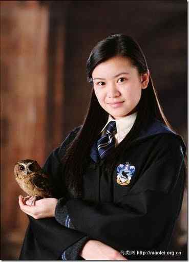 《哈利波特》中的猫头鹰世界