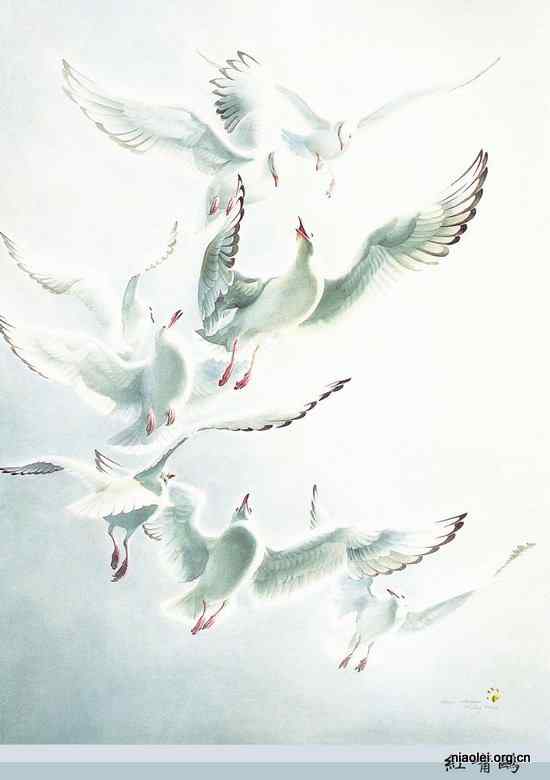 工笔画鸟类国画