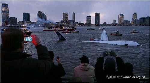 罗马机场高科技驱鸟 苍鹰机器人出击