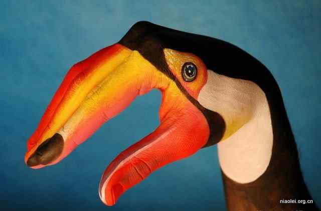 绝美艺术:一只手模仿出来的动物