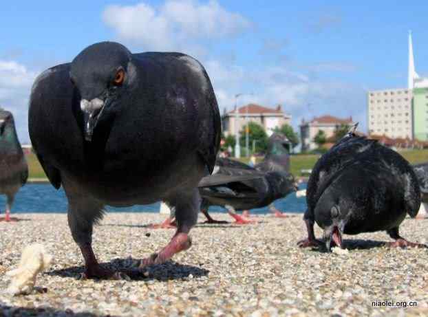 我实在是吃不动了