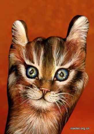 绝美艺术：一只手模仿出来的动物