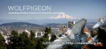 愚人节之狼鸽和鲨鹰