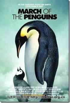 《帝企鹅日记》:雅克·贝汉时代过渡到吕克·雅盖