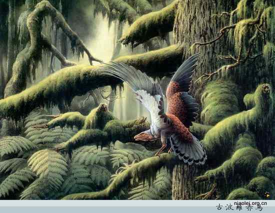 工笔画鸟类国画