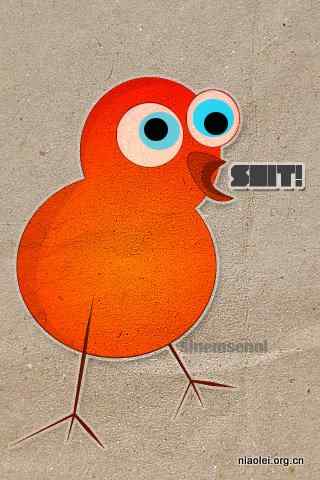 与鸟有关的几张壁纸