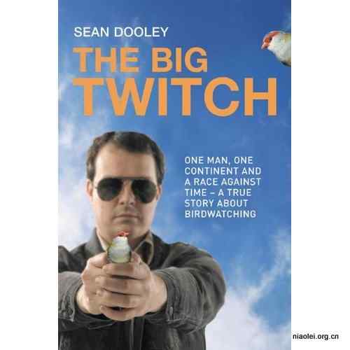 观鸟在中国大陆