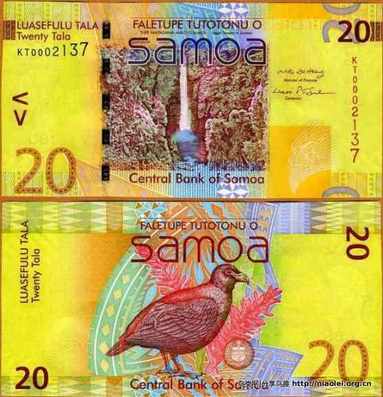 萨摩亚纸币上的国鸟齿喙鸽