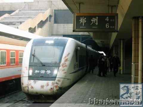 鸟儿杀手：和谐号动车组