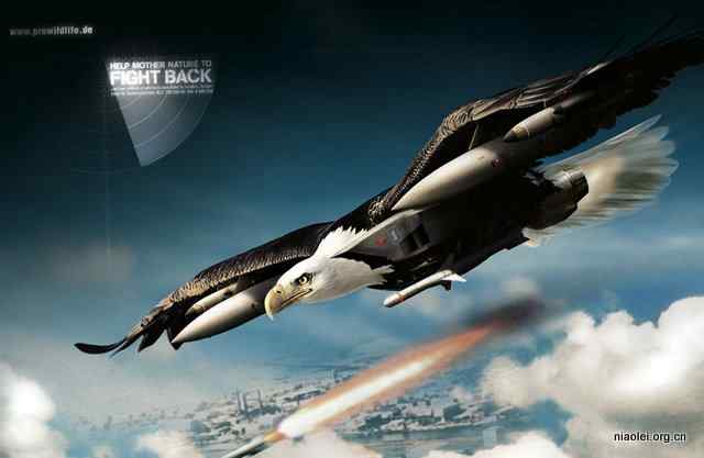 [公益广告]动物的反击！