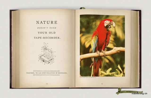 法国保护鸟类公益广告