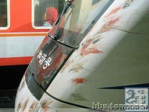 法国鸟类总数大幅下降