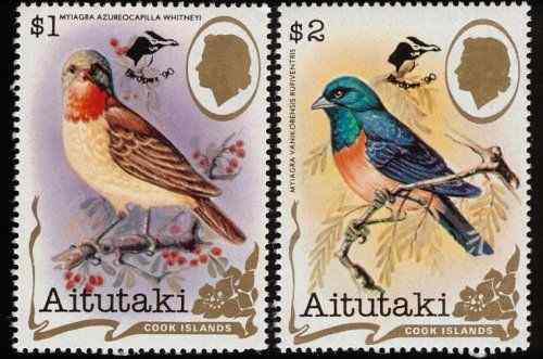 蓝冠阔嘴鹟和白腹阔嘴鹟