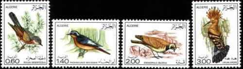 阿尔及利亚鸟类