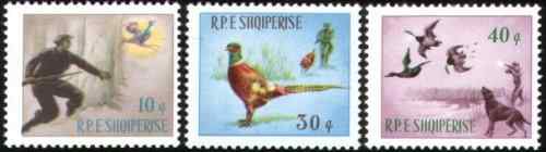 阿尔巴尼亚狞猎动物