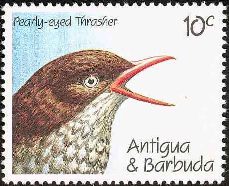 安提瓜和巴布达邮票上的鸟类