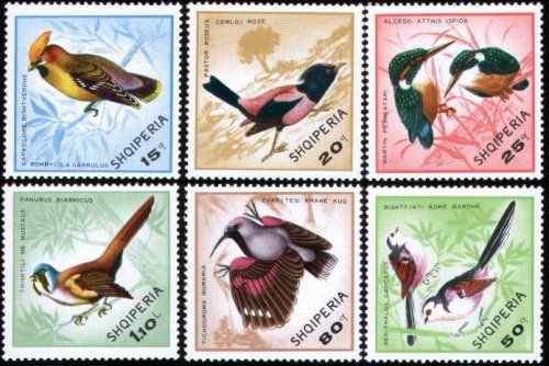 阿尔巴尼亚 太平鸟等