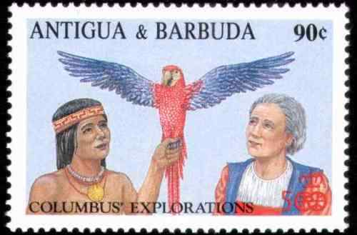 纪念哥伦布——金刚鹦鹉