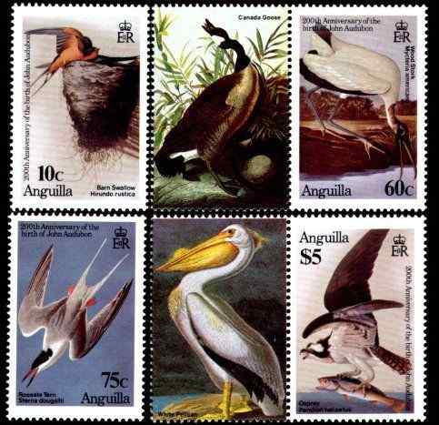 奥杜邦诞辰200周年家燕