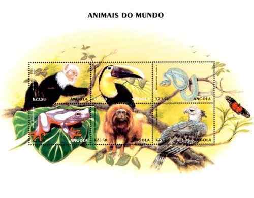 世界的动物小全张黑嘴巨嘴鸟等