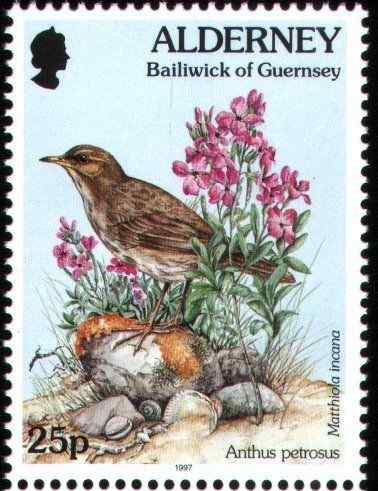 英国石鹨──植物群与动物群