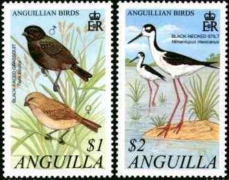 安圭拉黑脸草雀等鸟类