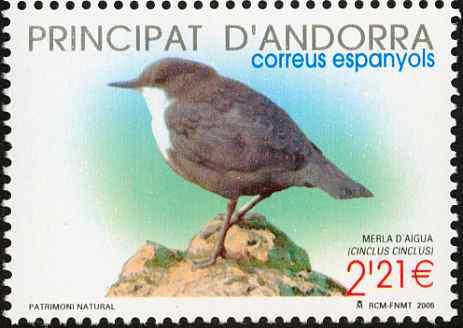安道尔--河乌