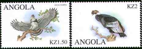 安哥拉猛禽