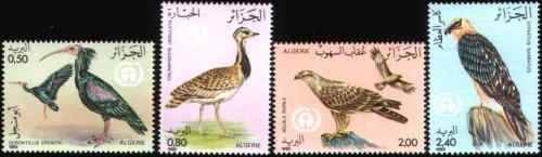 阿尔及利亚 自然保护