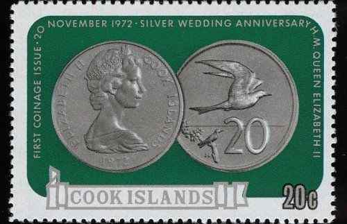 库克群岛白玄鸥