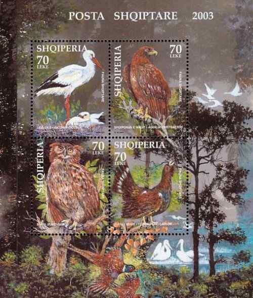 阿尔巴尼亚白鹳