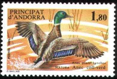 安道尔自然保护