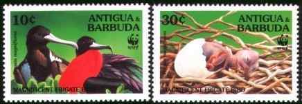 华丽军舰鸟邮票