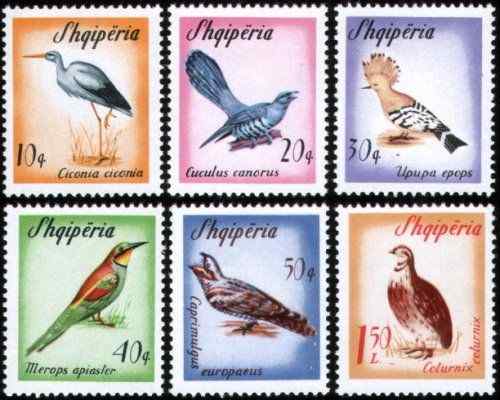 阿尔巴尼亚 候鸟