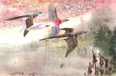 19、20世纪灭绝的动物