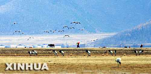 秘境香格里拉是动物的乐园