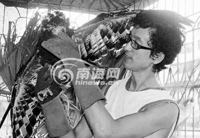 李波:愿做极端环保者