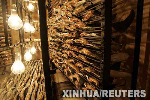 鲨鱼将被人类吃光 9种鲨鱼将濒危