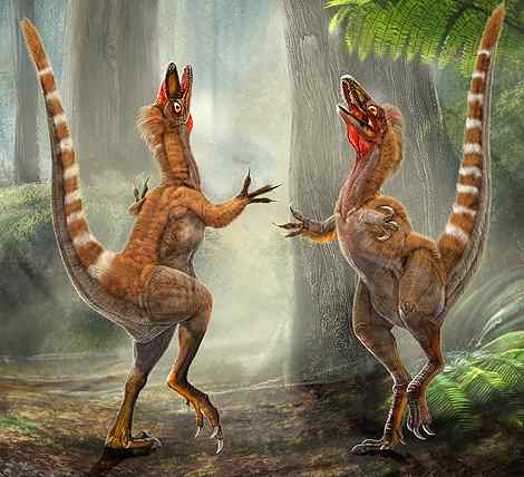 首次发现恐龙羽毛颜色的证据