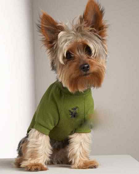 人类关于动物界的几大误解