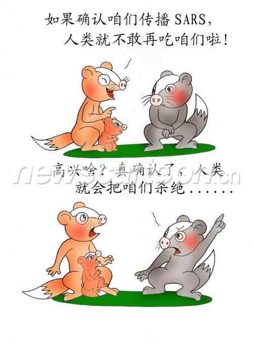 非典肆虐  果子狸