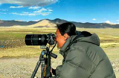 小黑颈鹤诞生了——一位野生动物保护者拍到的珍贵照片