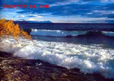 达赉湖国家级自然保护区 达赉湖国家级自然保护区