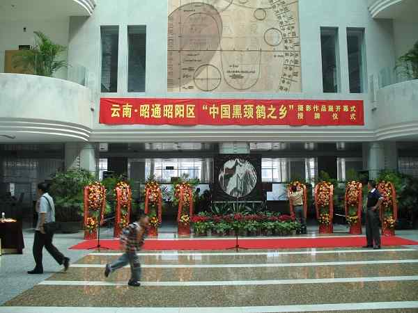 云南昭通黑颈鹤摄影展开幕式暨“中国黑颈鹤之乡”授牌仪式在昆明举行