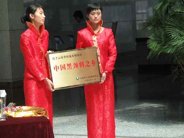 云南昭通黑颈鹤摄影展开幕式暨“中国黑颈鹤之乡”授牌仪式在昆明举行