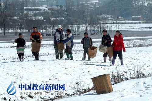 鹤痴”教师王高祥