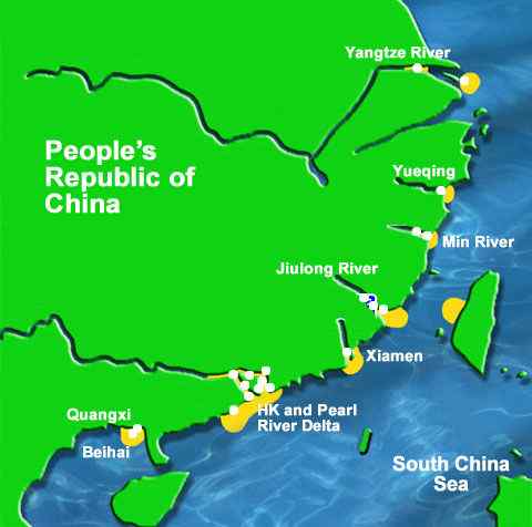 香港回归的吉祥物  中华白海豚