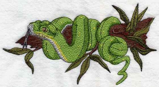 养蟒蛇当宠物  绿树蟒